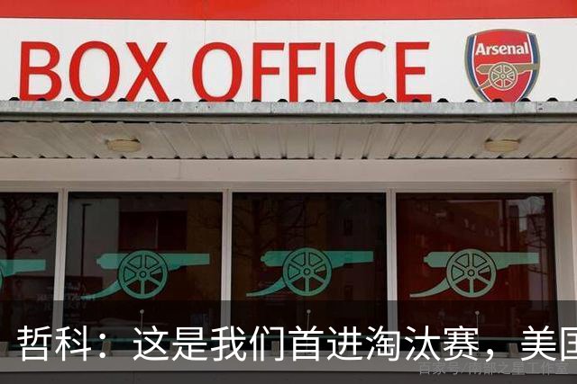 哲科：这是我们首进淘汰赛，美国是东道主但波黑走到这绝非偶然