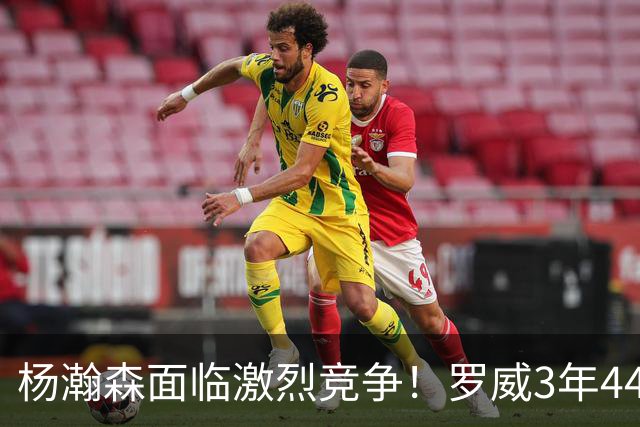 杨瀚森面临激烈竞争！罗威3年4400万美元续约开拓者